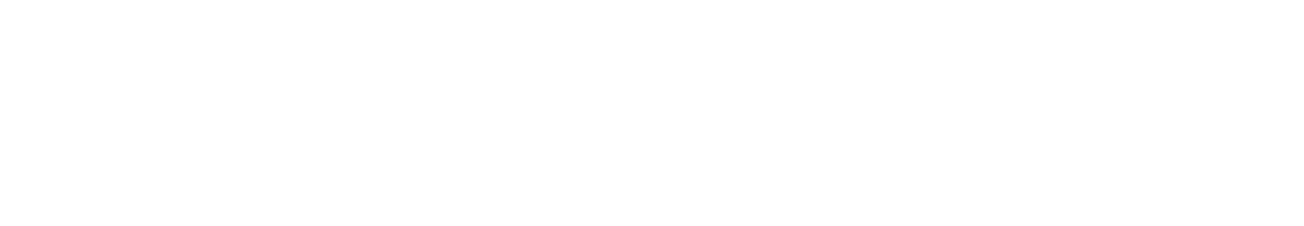 Logo de DynamicFin en blanco